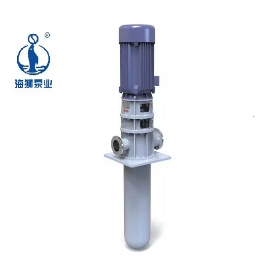 Single-Stage Circulating Haishi Molten Salt Pump For Sea Water Industry best